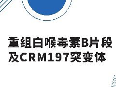 重组DTB&CRM97