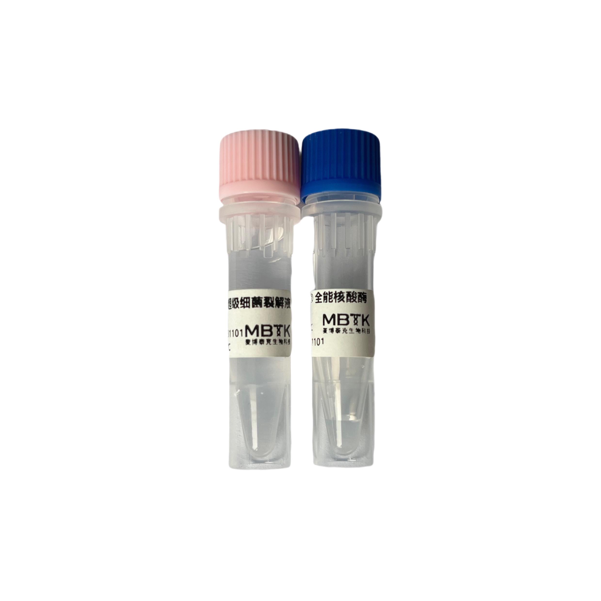 FHpure®大肠杆菌湿菌裂解澄清试剂盒